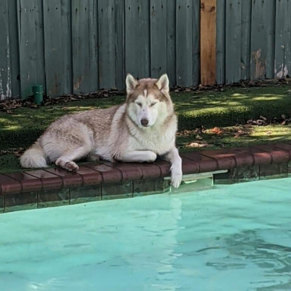 Meet your Posher, Michele π - Picture 16 of 16